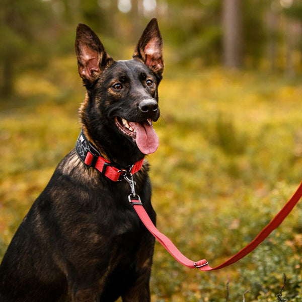 Rukka® Cube Soft collar, red / black || Rukka Pets || view 6