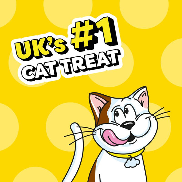 Dreamies Cat Treats 60g || Dreamies || view 22