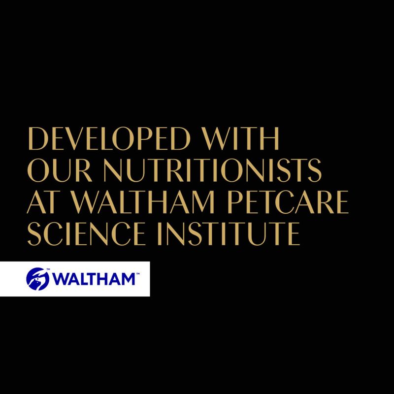 Developed with our nutrition experts at the Waltham Petcare Science Institute. WALTHAM.