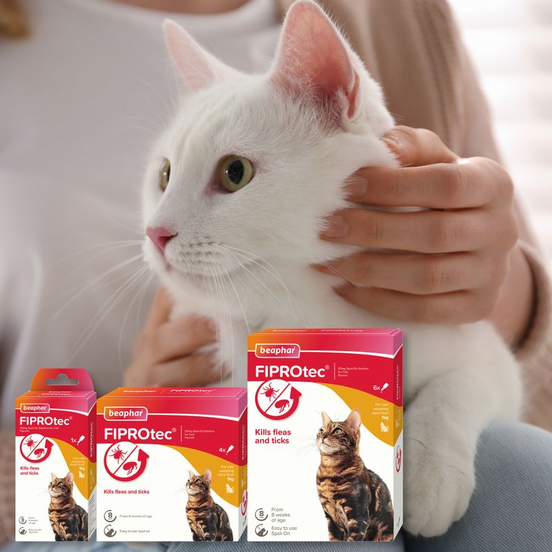 FIPROtec packaging showing product for killing fleas and ticks, with icons indicating spot-on application and suitability from 8 weeks of age. Person holding a white cat in the background.