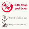 beaphar FIPROtec® Flea & Tick Spot-On for Dogs - S (2-10kg) || beaphar || view 4