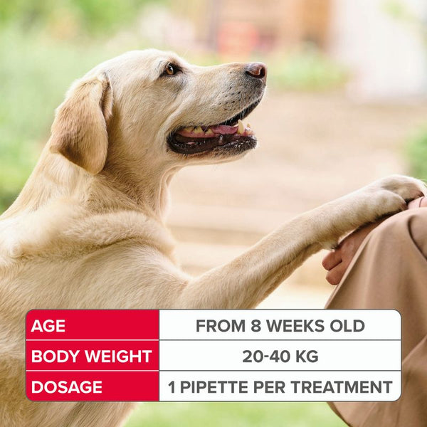 beaphar FIPROtec® Flea & Tick Spot-on For Dogs - L (20-40kg) || beaphar || view 10