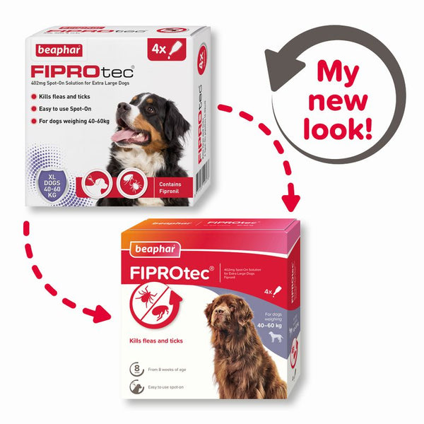 beaphar FIPROtec® Flea & Tick Spot-on For Dogs - XL (>40kg) || beaphar || view 3