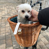 Aumüller Bicycle Basket with Protective Wire for Luggage Rack || Aumüller || view 11