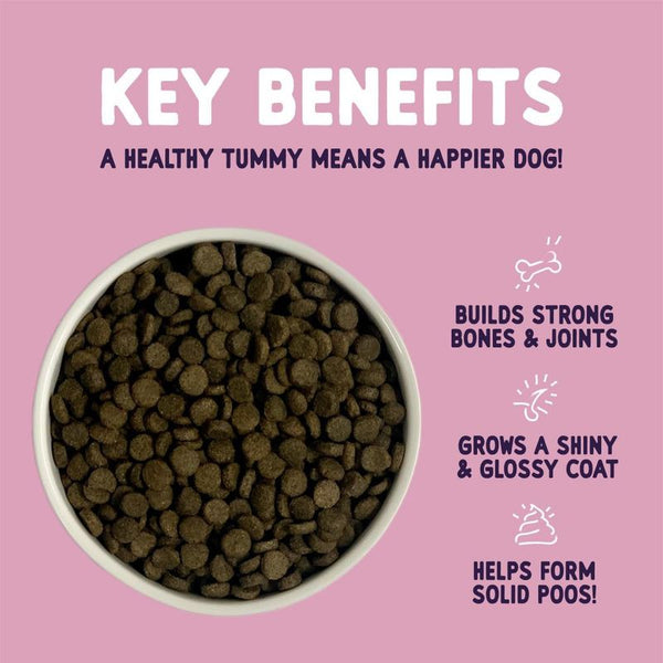 Burgess Sensitive Adult Dog Salmon || Burgess || view 6