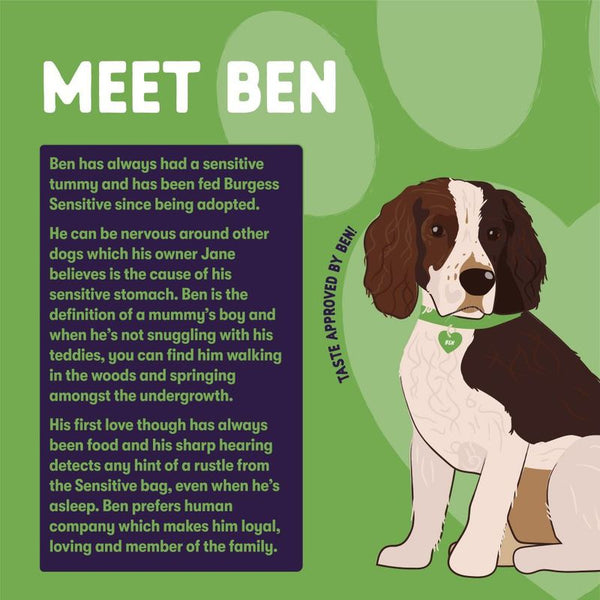 Burgess Sensitive Adult Dog Lamb || Burgess || view 10