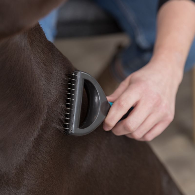 Hand holding a grooming comb with metal teeth, combing the fur of a brown animal.