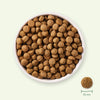 Yarrah Organic Sensitive with Organic Chicken & Organic Rice || Yarrah || view 4
