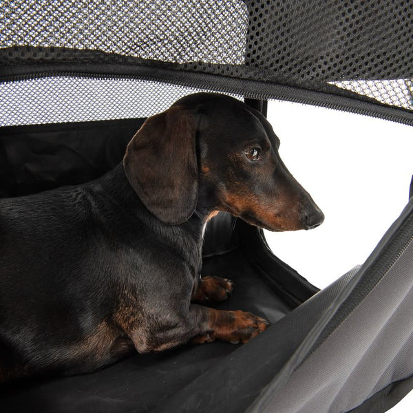 Fiona Collapsible Dog Transport Box || zooplus Exclusive || view 9