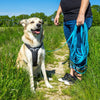 Pawz & Pepper Strong Tracking Line - Blue || Petlando || view 7