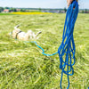 Pawz & Pepper Round Braided Tracking Line - Blue || Petlando || view 3
