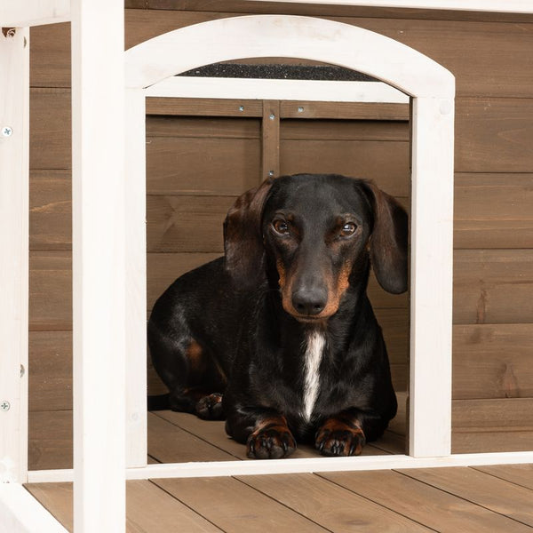Doug Dog Kennel || zooplus Exclusive || view 8