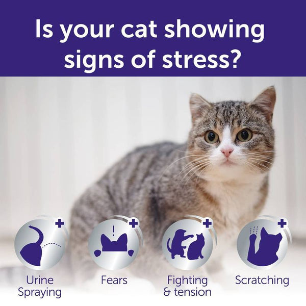 Feliway® Optimum Refill || undefined || view 6
