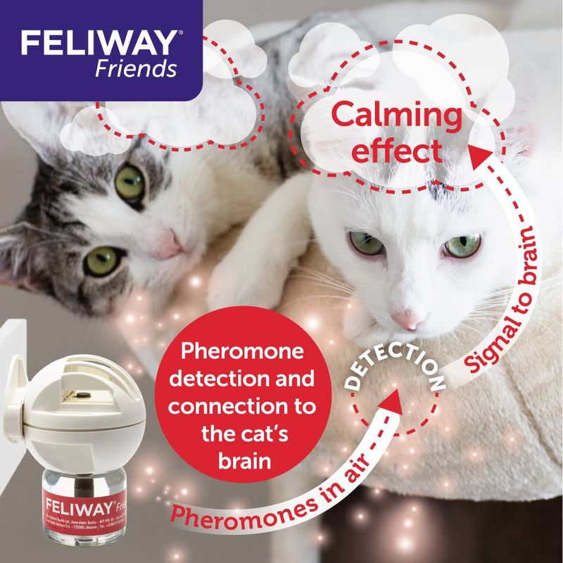 Feliway Friends product image showing a diffuser and text: 'Pheromone detection and connection to the cat’s brain', 'Calming', and 'Pheromones in air'.