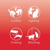 Image showing four behaviours: conflict, fighting, chasing, and blocking, each represented by animal silhouettes with corresponding labels.