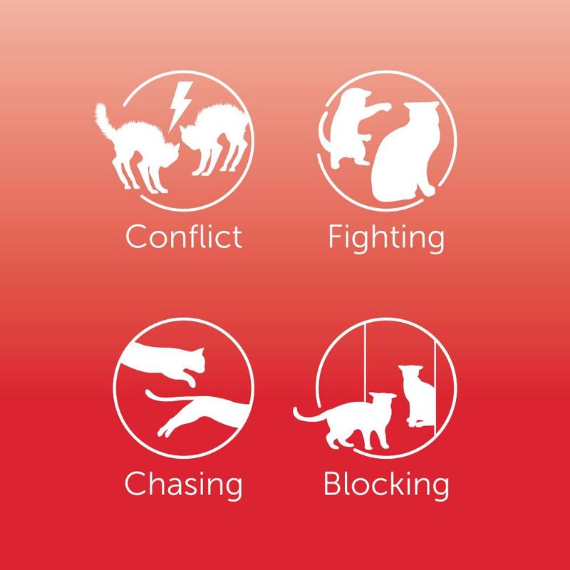 Image showing four behaviours: conflict, fighting, chasing, and blocking, each represented by animal silhouettes with corresponding labels.