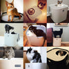 Modko ModKat Cat Litter Box || Modkat || view 8