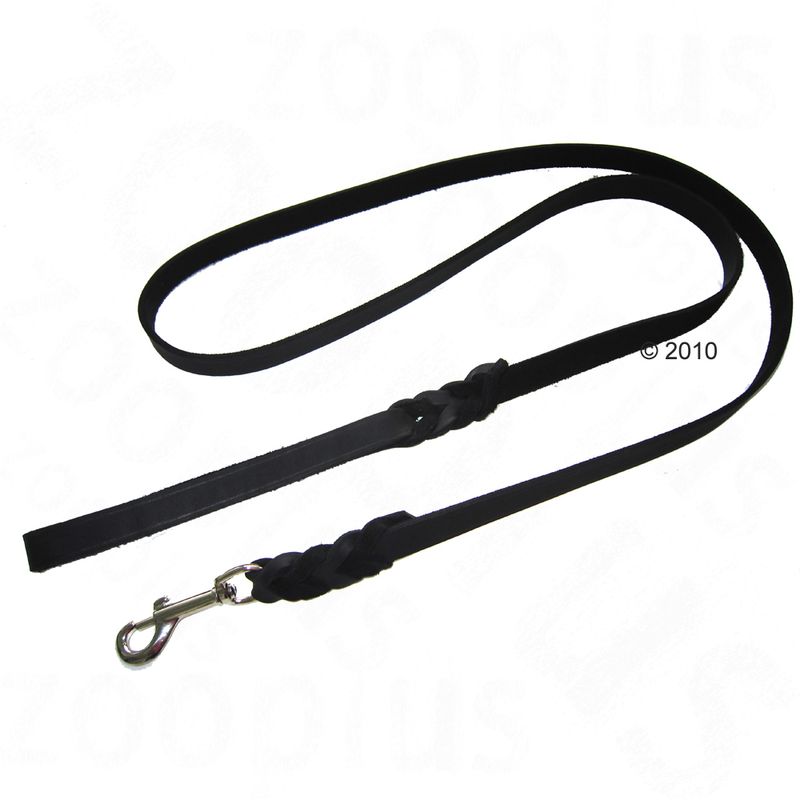 Black leather dog lead with braided design and metal carabiner hook.