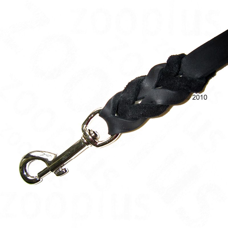 Close-up of a braided black leather lead with a metal clip attachment, showing connection detail for securing to a collar or harness.