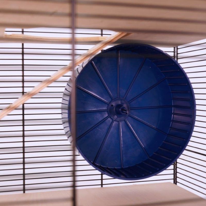 Blue exercise wheel attached inside a wire cage, shown from the side to display its size and placement.