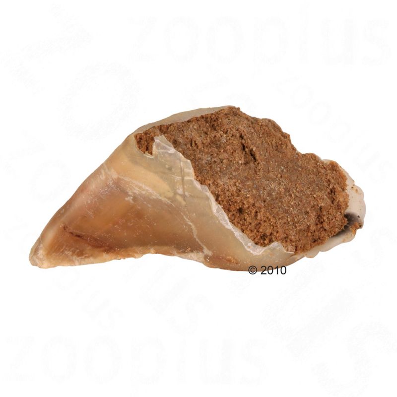 Horn-shaped chew treat filled with a brown, crumbly filling, shown in close-up to display texture and contents.