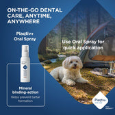 Plaqitv+ Oral Spray, 60 ml. Quick application for dental care on the go. Mineral binding helps to prevent tartar formation. Plaqtiv+ oral care with XPERSIV.
