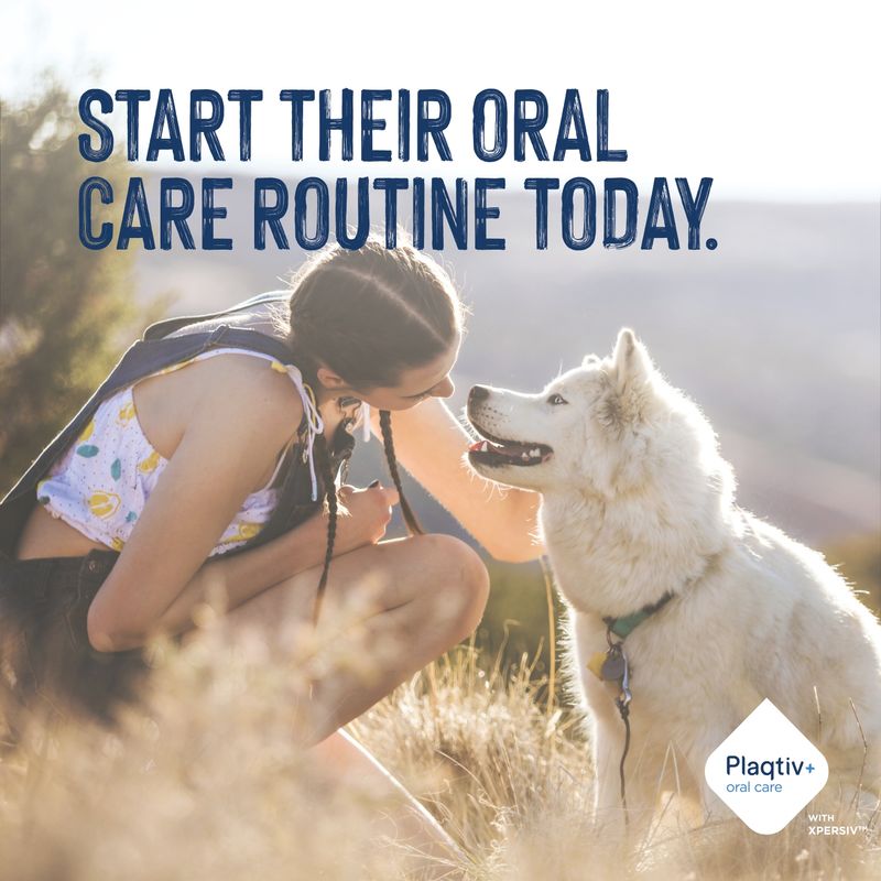 Text in the image: START THEIR ORAL CARE ROUTINE TODAY. Plaqtiv+ oral care with Xpersiv.