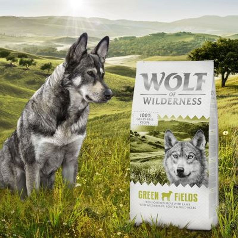 Wolf of Wilderness Adult "Green Fields" - Lamb || Wolf of Wilderness || view 8
