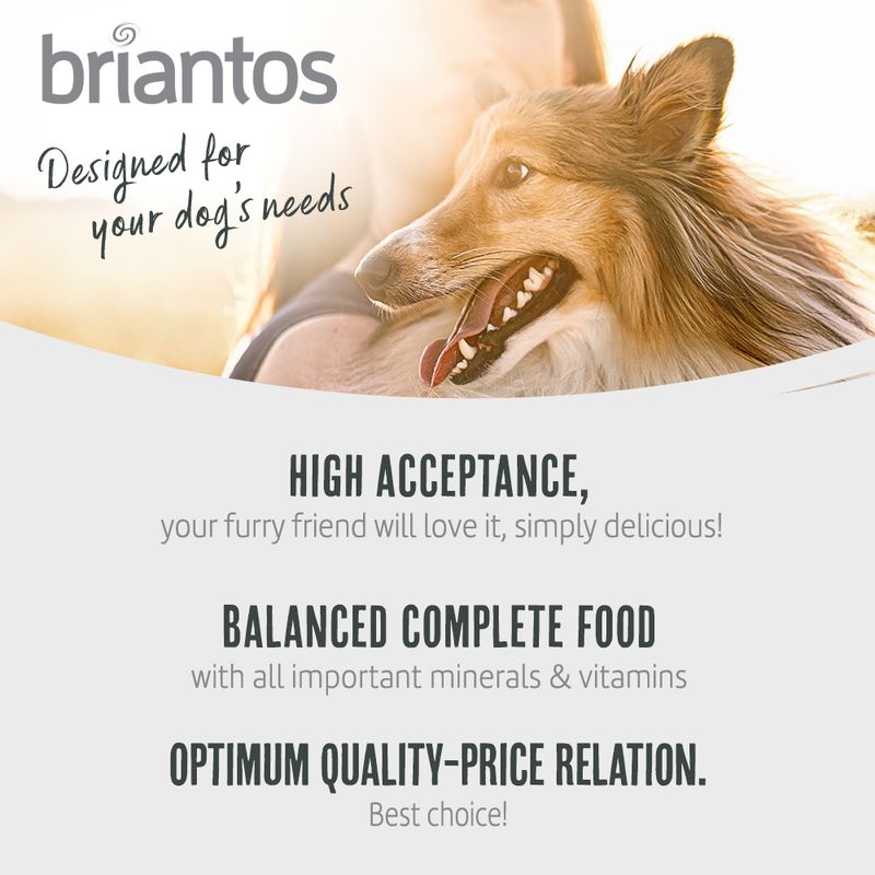 Briantos Adult Mini Lamb & Rice || briantos || view 3