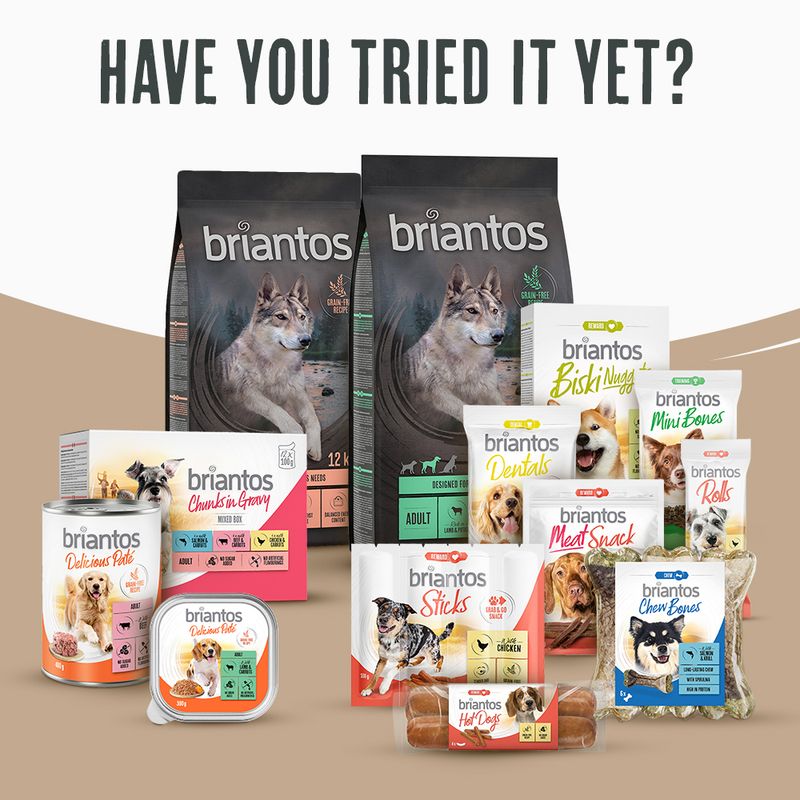 Briantos Junior Grain-Free Chicken & Potato || briantos || view 8