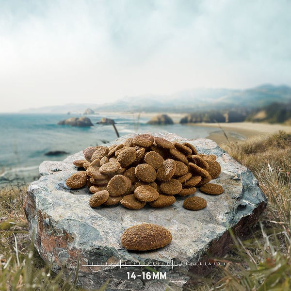 Purizon Puppy Large Breed Dog – Grain-Free Chicken & Fish || Purizon || view 2