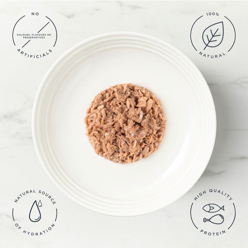 Encore Cat Pouch in Broth 5 x 50g