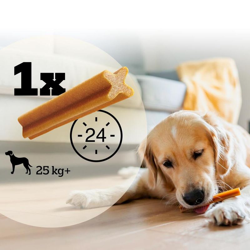 Pedigree Dentastix - Daily Oral Care for Large Dogs (>25kg) || Pedigree || view 9