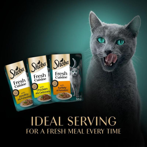 Sheba Fresh Cuisine Taste of Rome || undefined || view 8