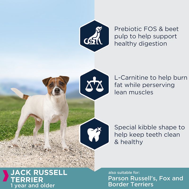 Eukanuba Jack Russell Terrier Adult || Eukanuba || view 4