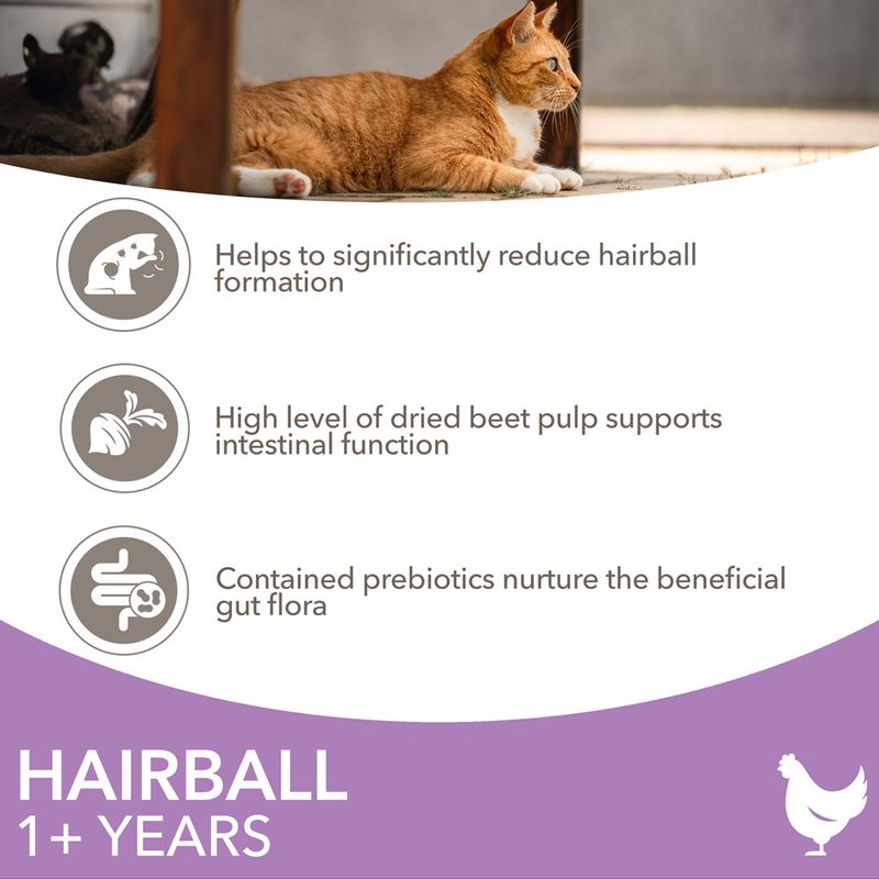 IAMS Advanced Nutrition Hairball with Chicken || IAMS || view 3