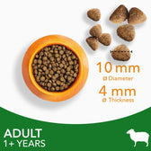 IAMS Advanced Nutrition Adult Cat with Lamb || IAMS || view 5
