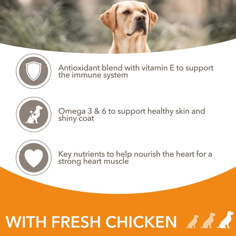 IAMS Advanced Nutrition Adult Large Dog - Chicken || undefined || view 3