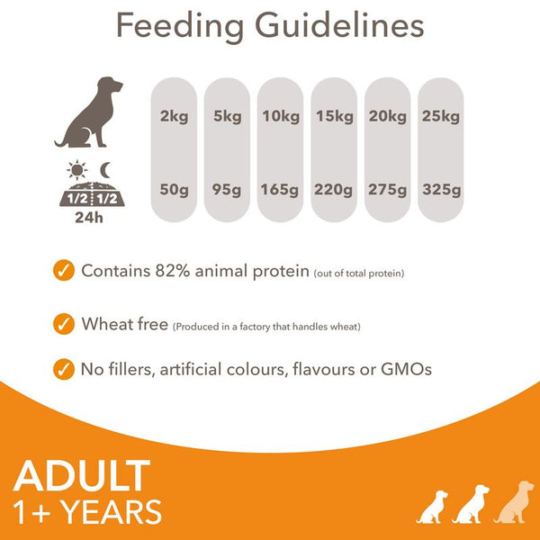 IAMS Advanced Nutrition Adult Small & Medium Dog - Chicken || undefined || view 5