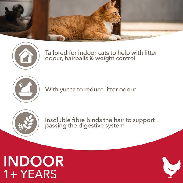 IAMS Advanced Nutrition Indoor Cat with Chicken || IAMS || view 4