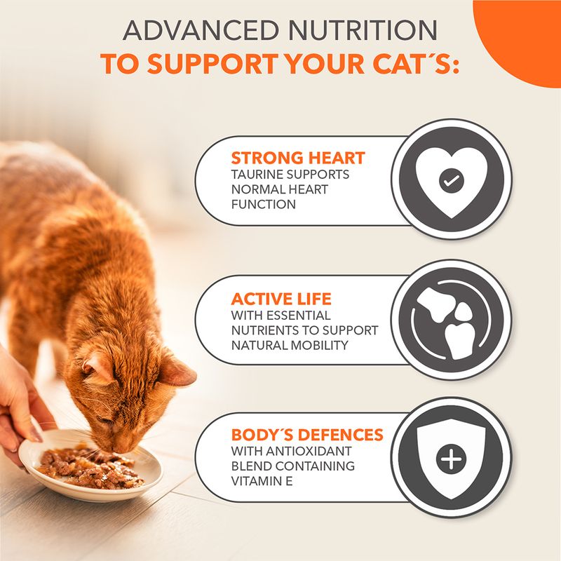 IAMS Advanced Nutrition Senior 7+ Land & Sea Collection in Jelly || IAMS || view 3