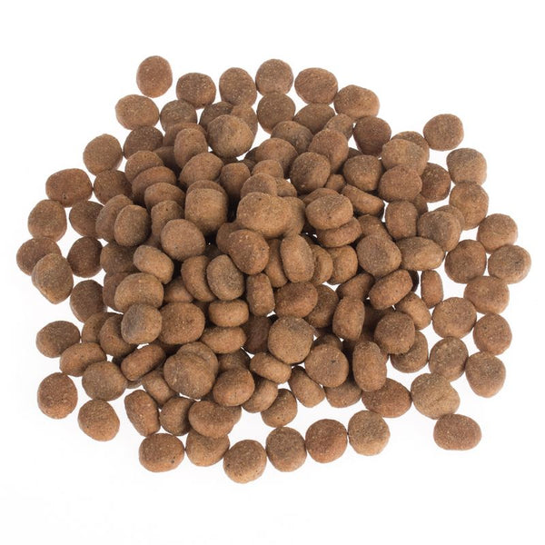 Wolf of Wilderness "Explore" Dry Dog Food Trial Pack || Wolf of Wilderness || view 7