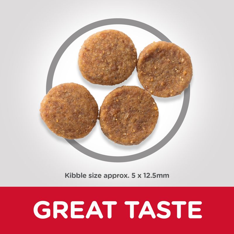 Hill’s Science Plan Adult 1-6 Medium with Chicken || Hill's Science Plan || view 2