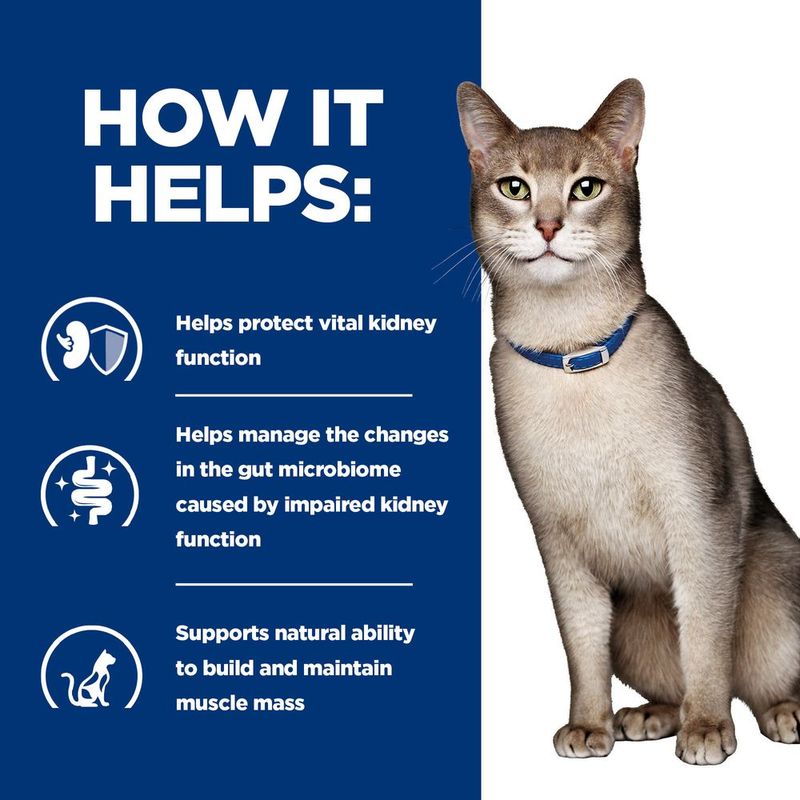 How it helps: protects vital kidney function, manages gut microbiome changes from impaired kidney function, supports natural ability to build and maintain muscle mass.