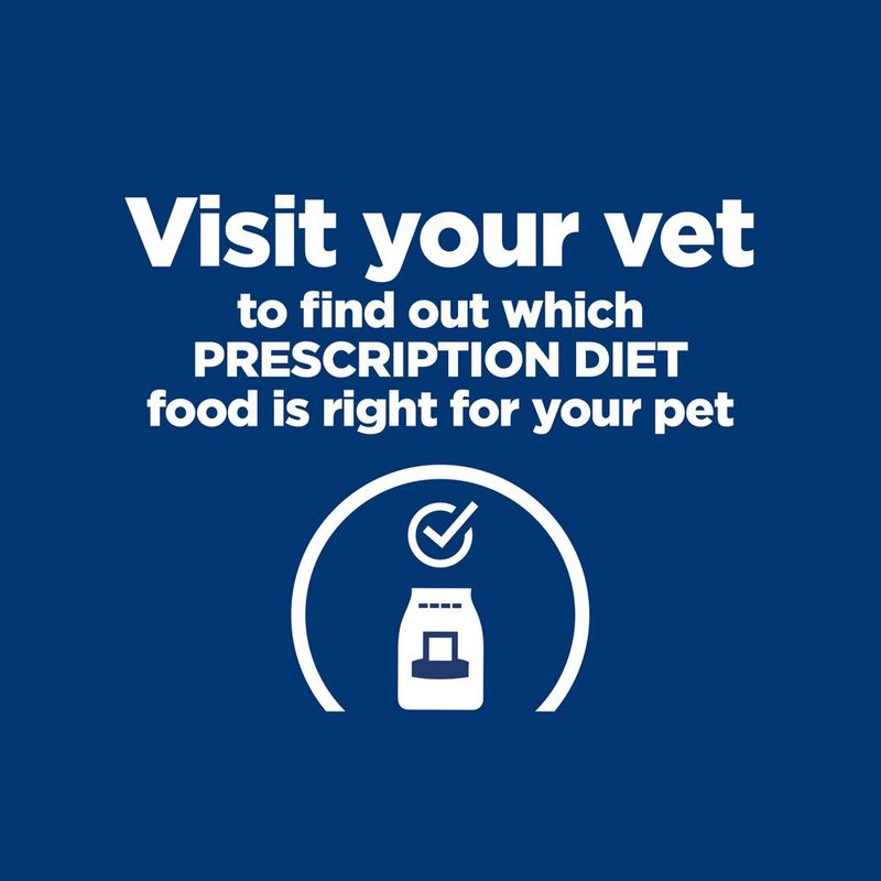 Visit your vet to find out which prescription diet food is right for your pet. Image includes a tick above a food bag icon.