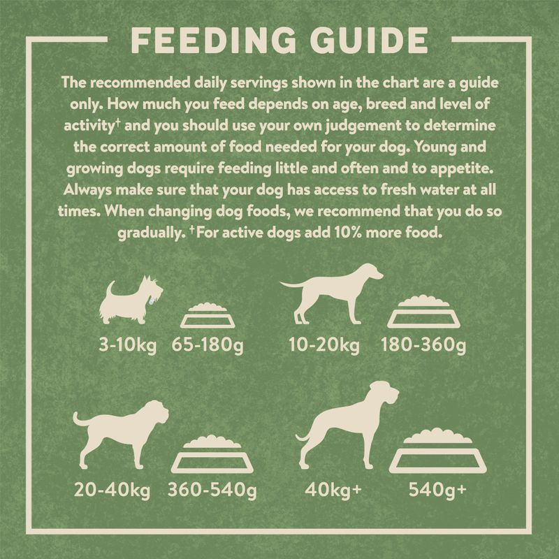 Harringtons Complete Adult Dog - Rich in Salmon & Potato || Harringtons || view 6