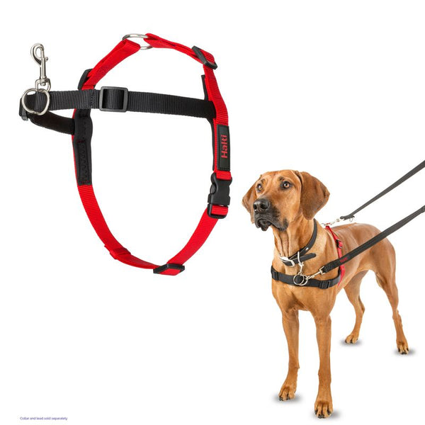 Halti Front Control Training Harness || Halti || view 8