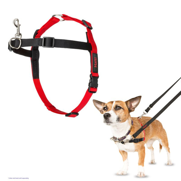 Halti Front Control Training Harness || Halti || view 4