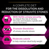 PURINA PRO PLAN Veterinary Diets Feline UR Urinary - Salmon || undefined || view 8
