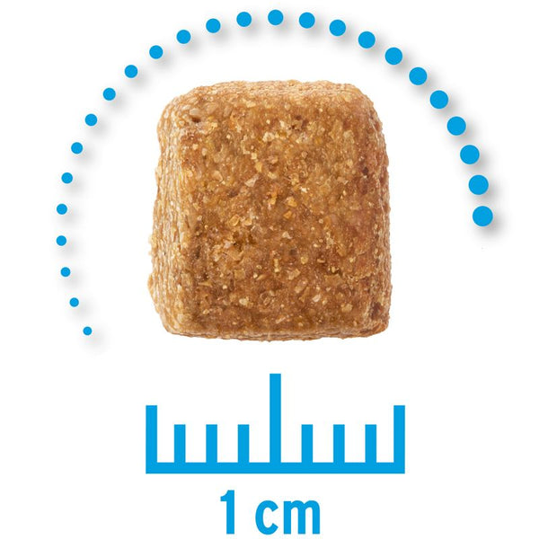 Concept for Life Veterinary Diet Economy Pack 2 x 12kg || undefined || view 4